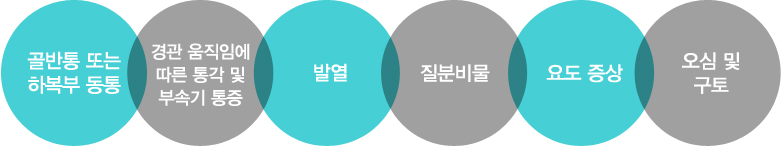 골반통 또는 하복부 동통 / 경관 움직임에 따른 통각 및 부속기 통증 / 발열 / 질분비물 / 요도 증상 / 오심 및 구토
