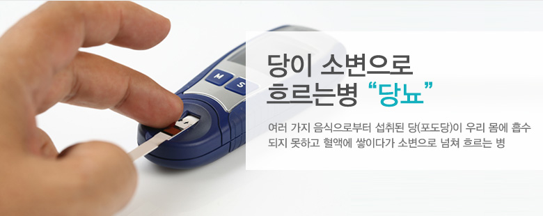 당이 소변으로 흐르는병 &ldquo;당뇨&rdquo;