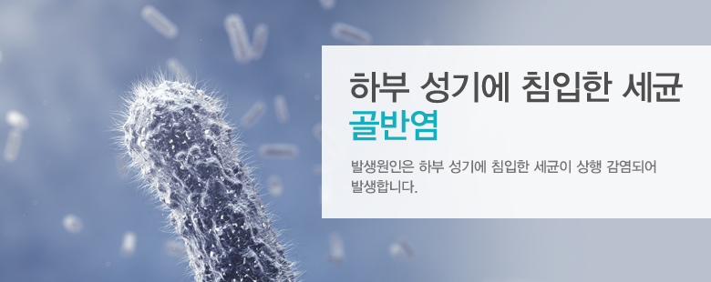 하부 성기에 침입한 세균 골반염