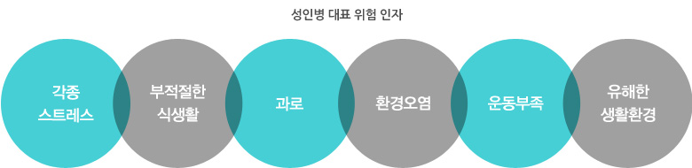 성인병 대표 위험 인자